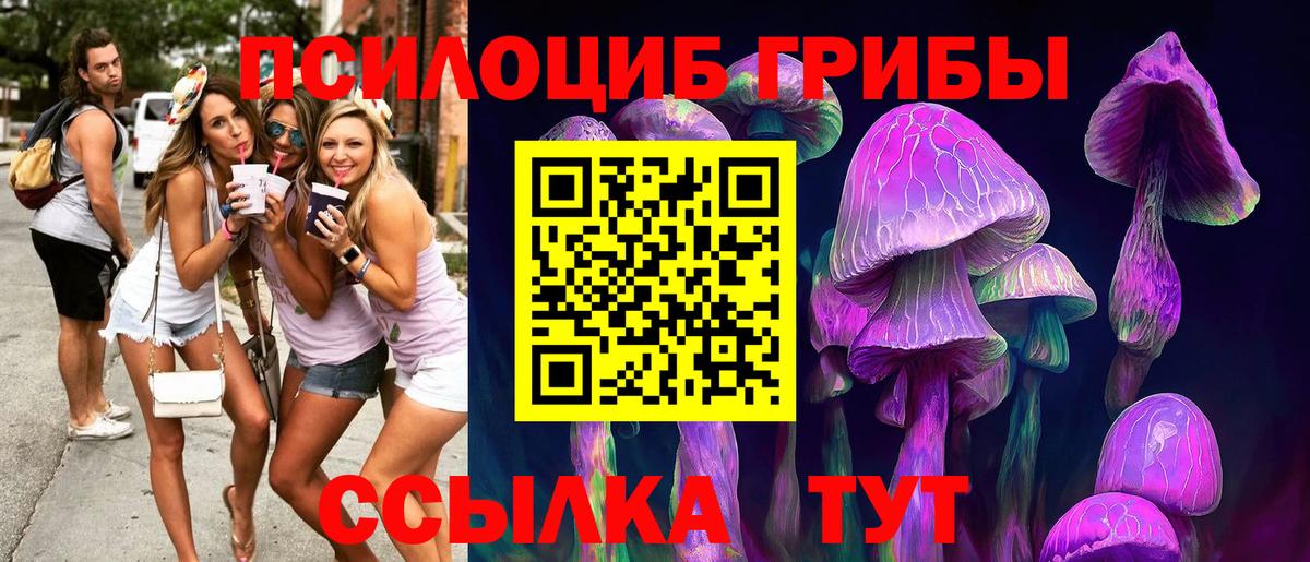 Серов  Галлюциногенные грибы MAGIC MUSHROOMS  Вход с VPN  Псилоцибиновые грибы прущие грибы 