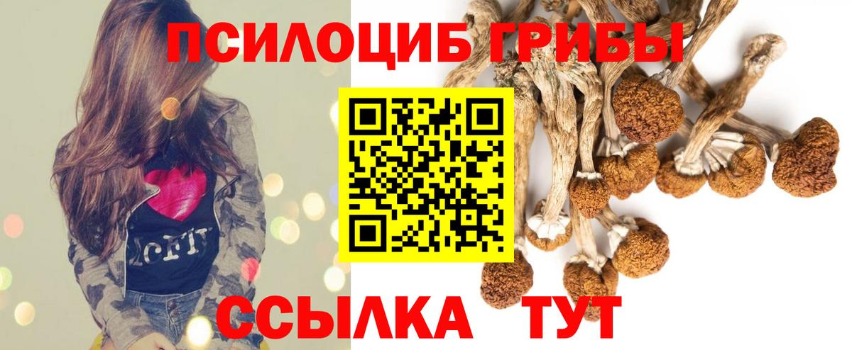 Псилоцибиновые грибы мухоморы Серов